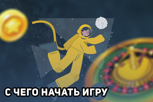 С чего начать новичку